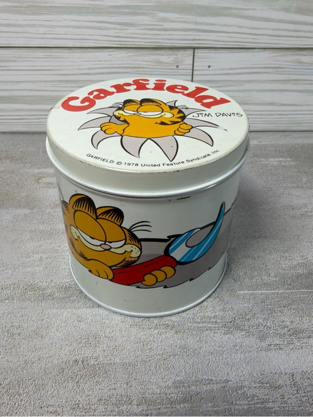 Garfield Decorative White Tin Canister